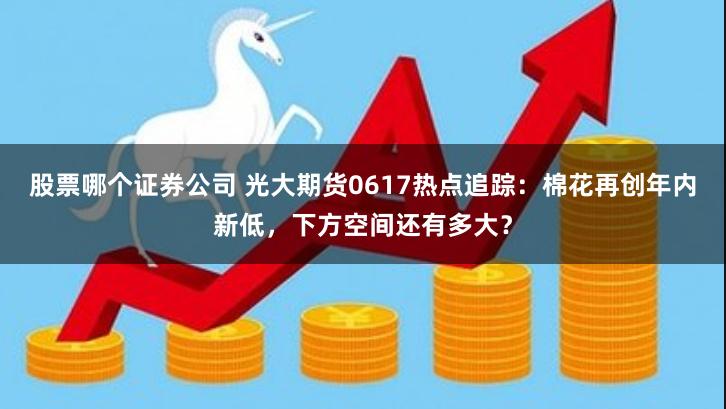 股票哪个证券公司 光大期货0617热点追踪：棉花再创年内新低，下方空间还有多大？